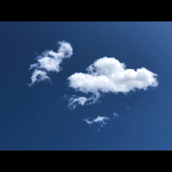 Meet your Posher, Jessie - Picture 1 of 1